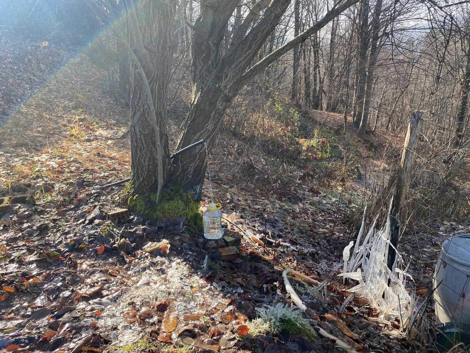  - foto 16