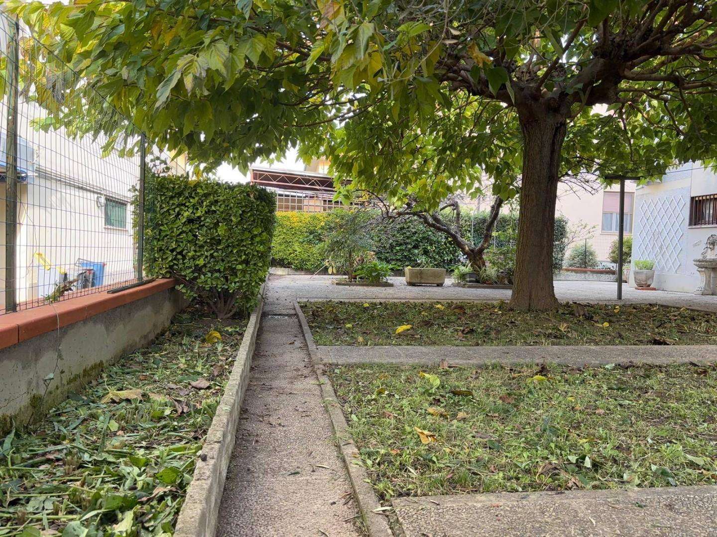  - foto 43