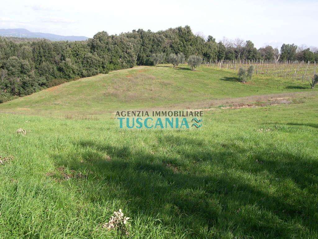  - foto 18