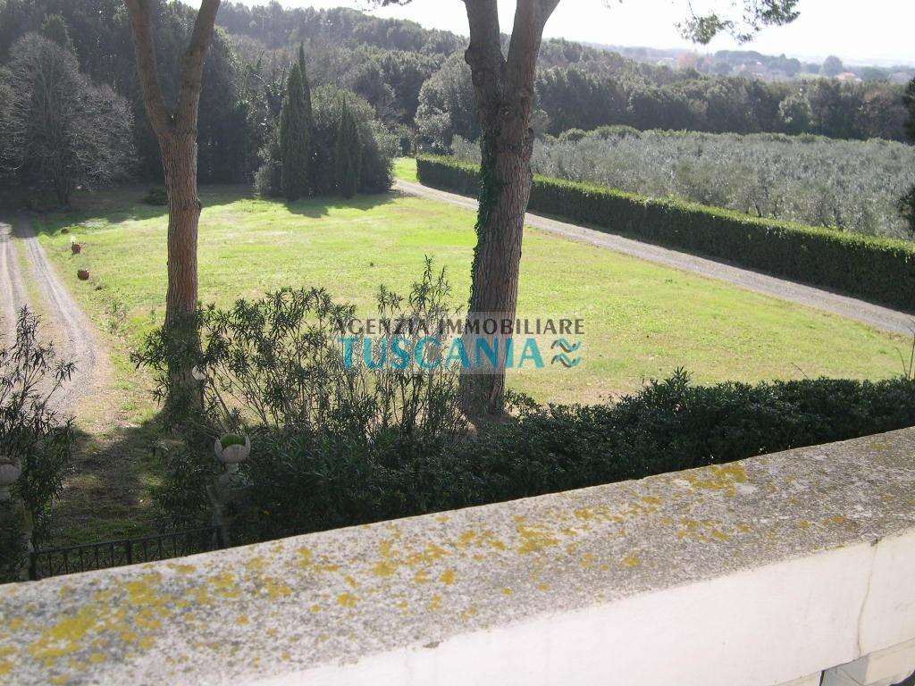  - foto 41