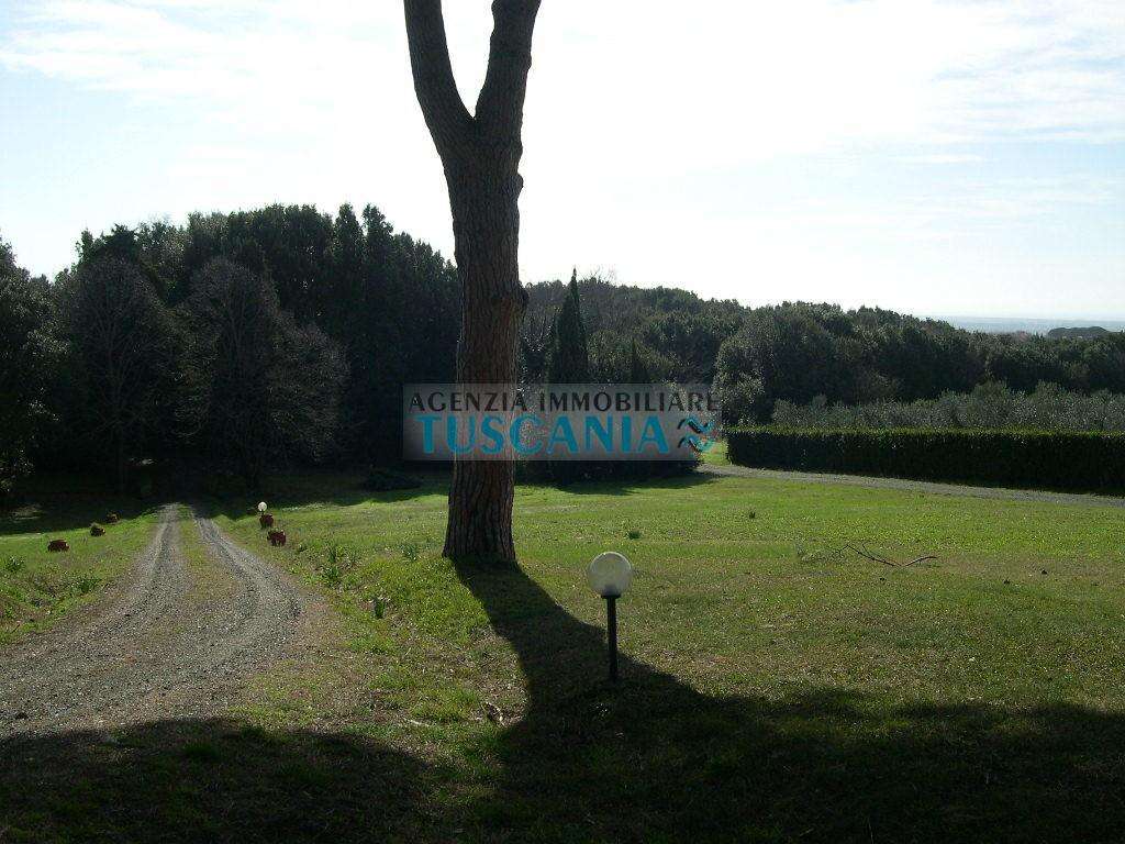  - foto 25