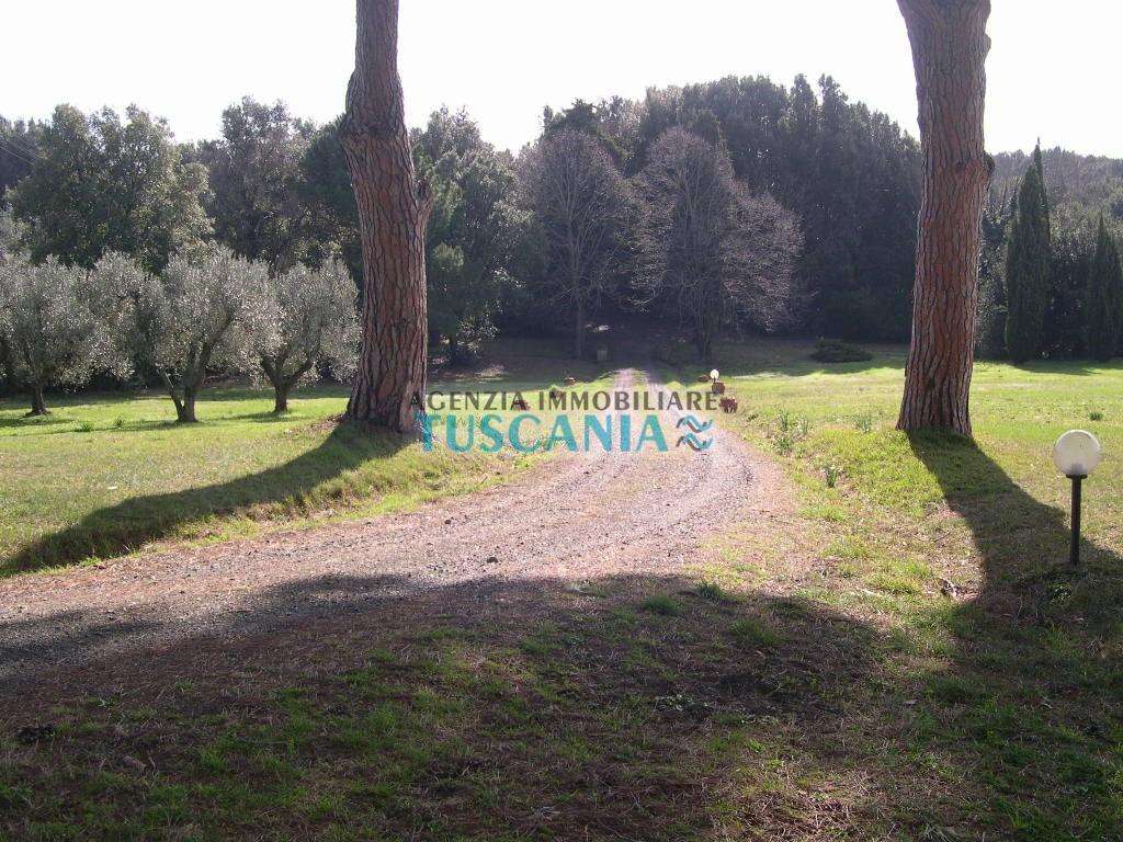  - foto 26