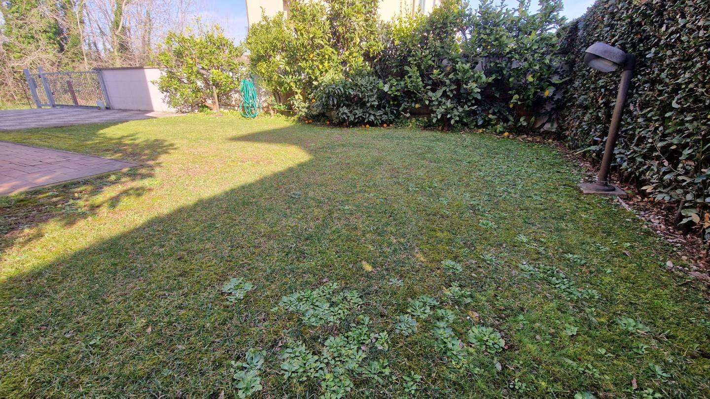  - foto 30