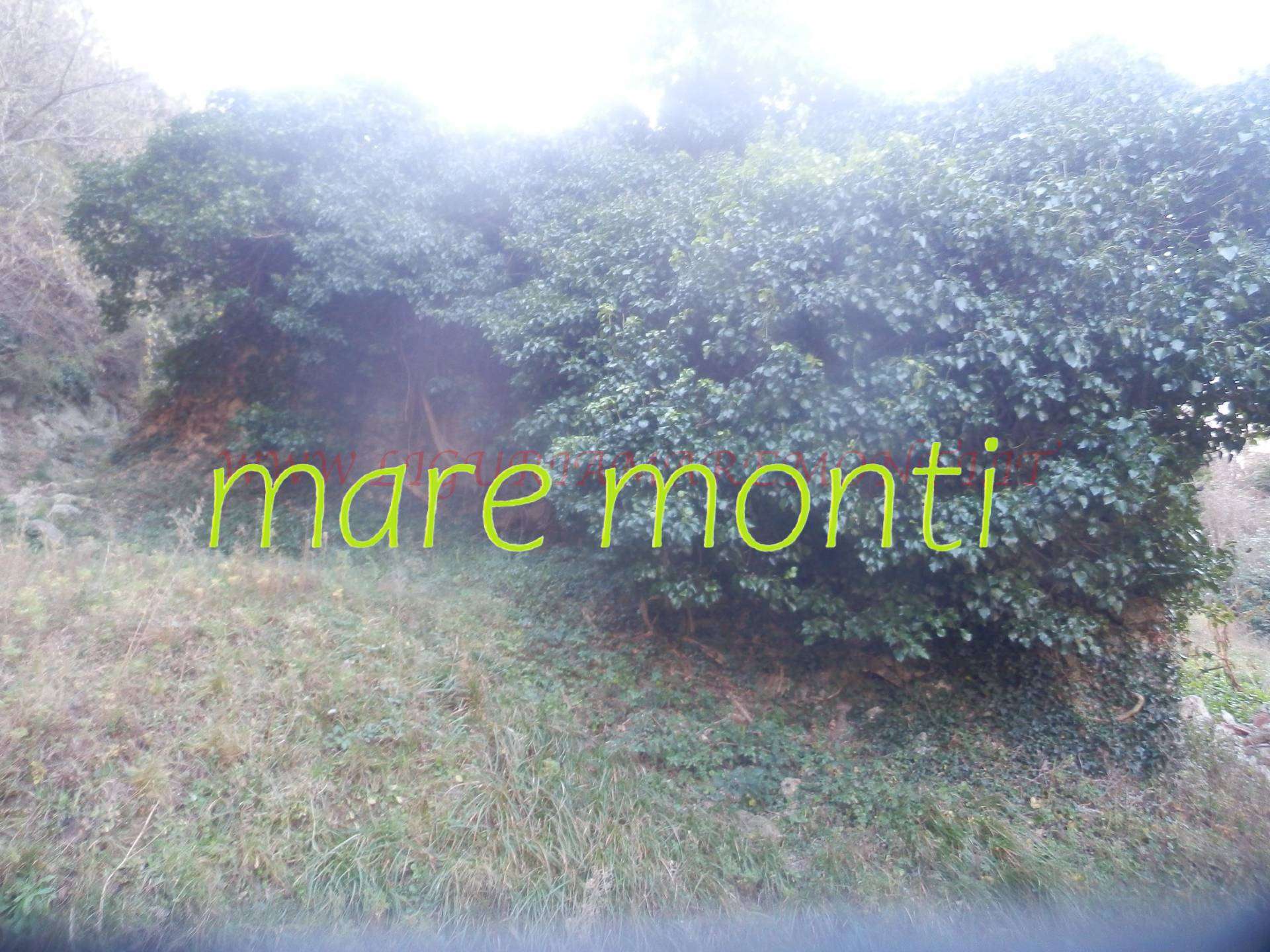  - foto 9
