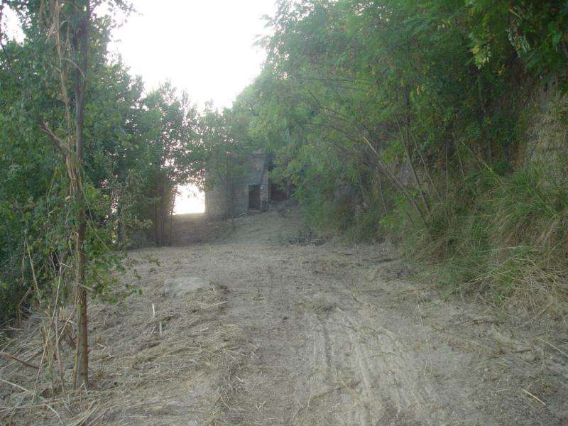  - foto 13