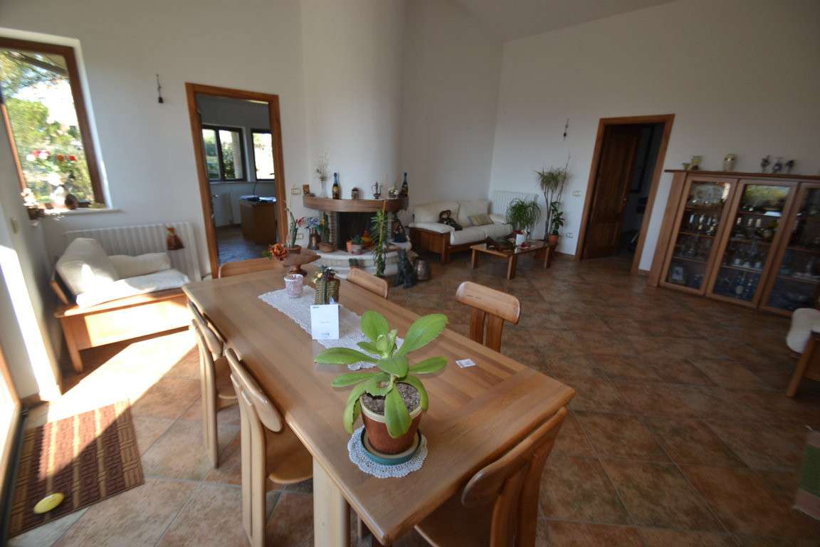  - foto 24