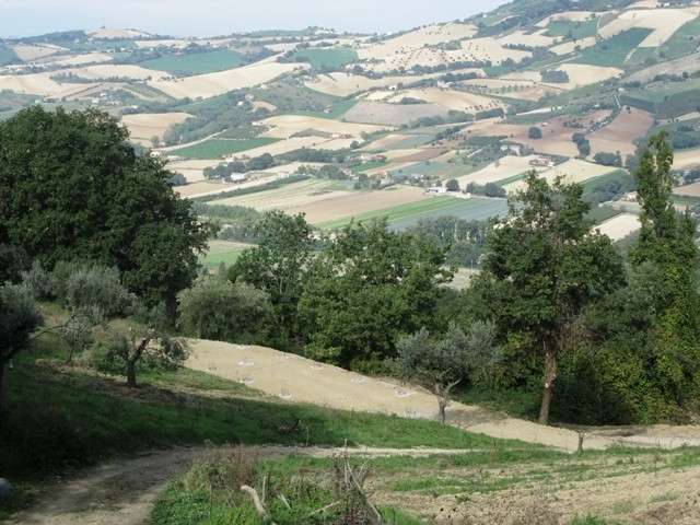  - foto 14