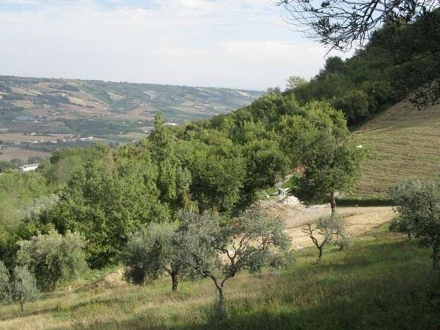  - foto 4