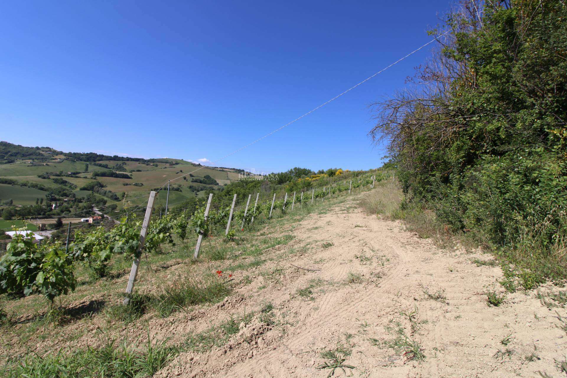  - foto 15