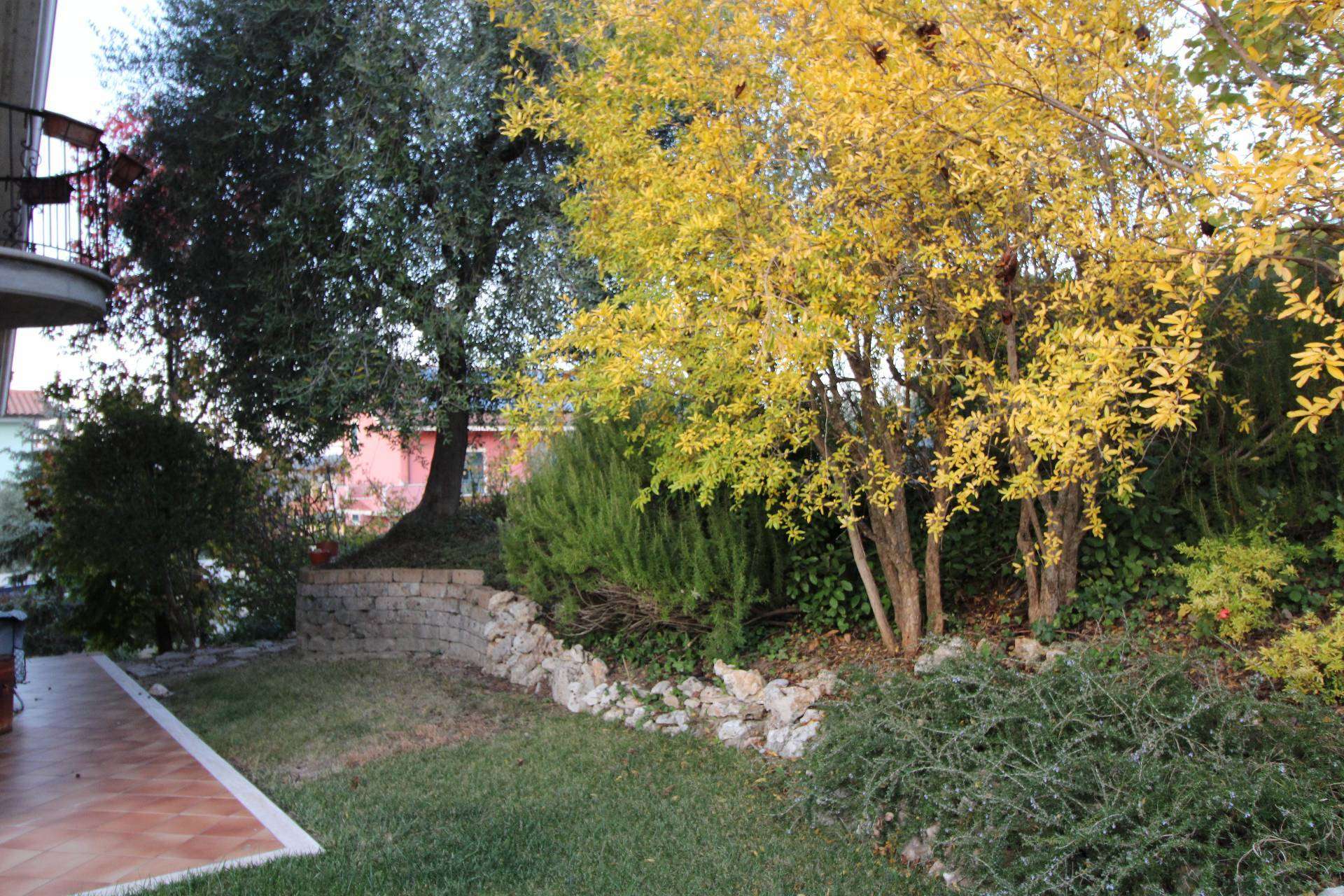  - foto 34
