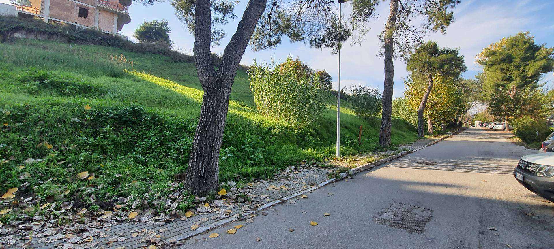  - foto 8