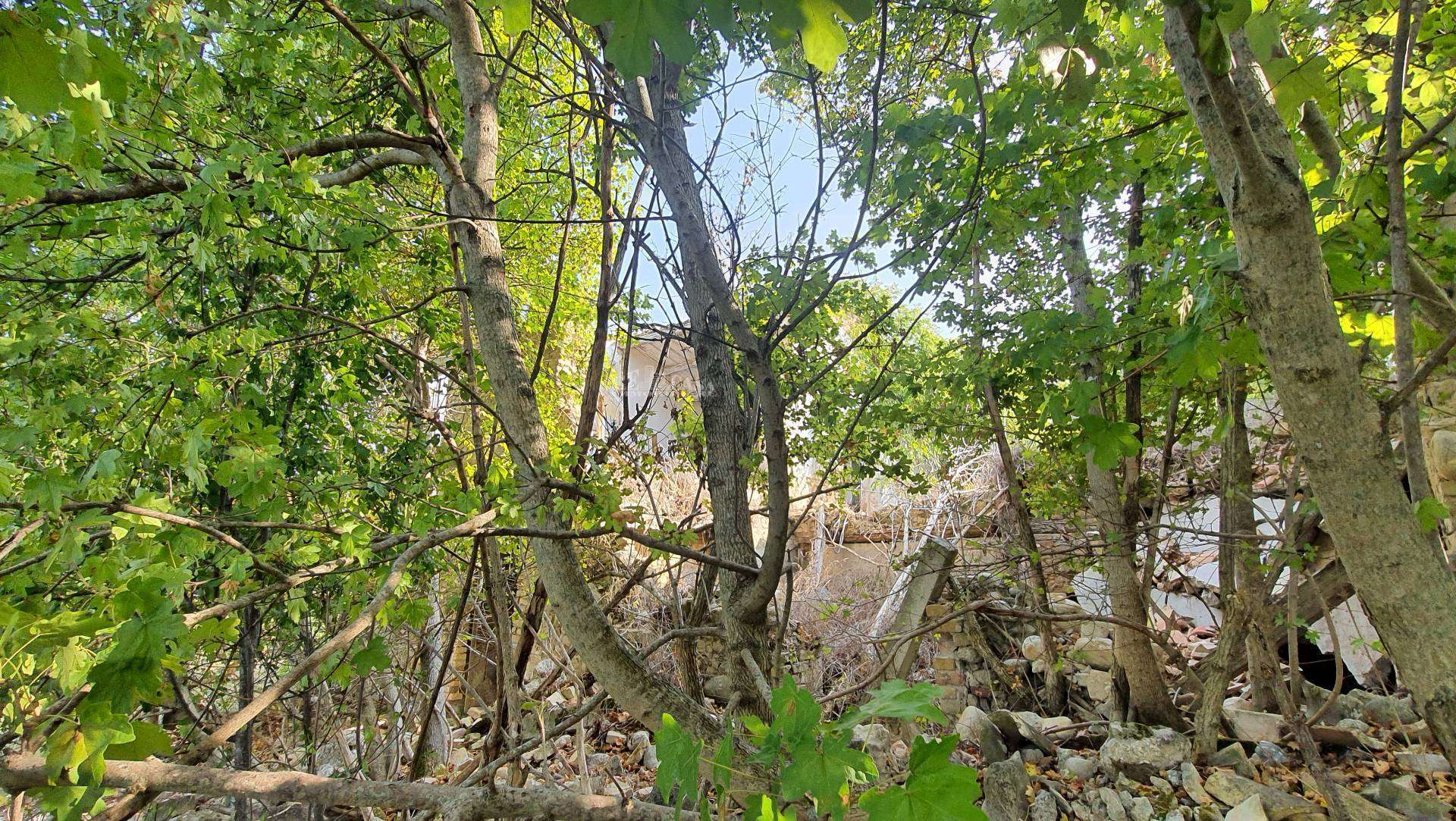  - foto 9