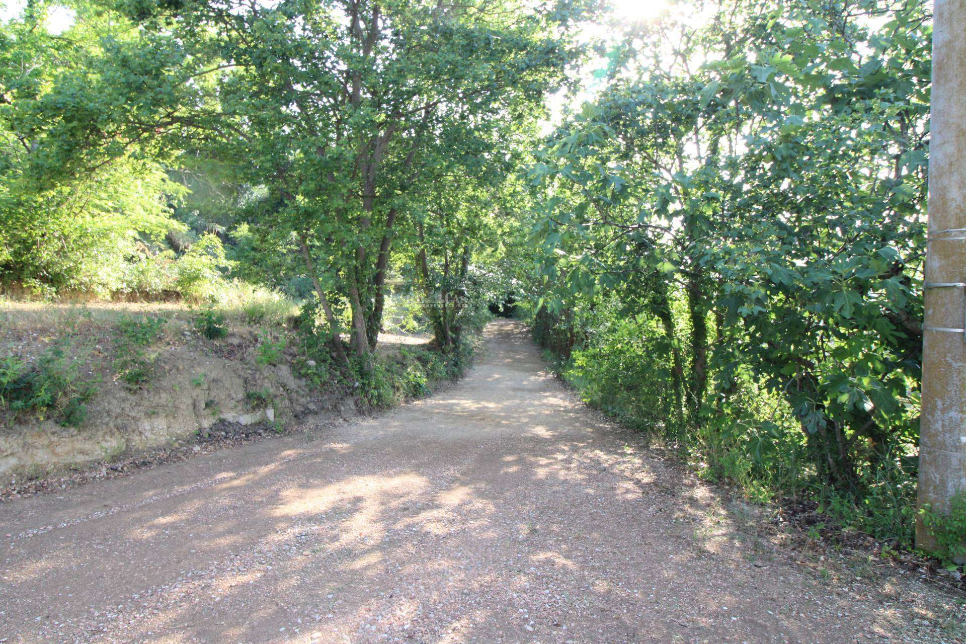  - foto 7