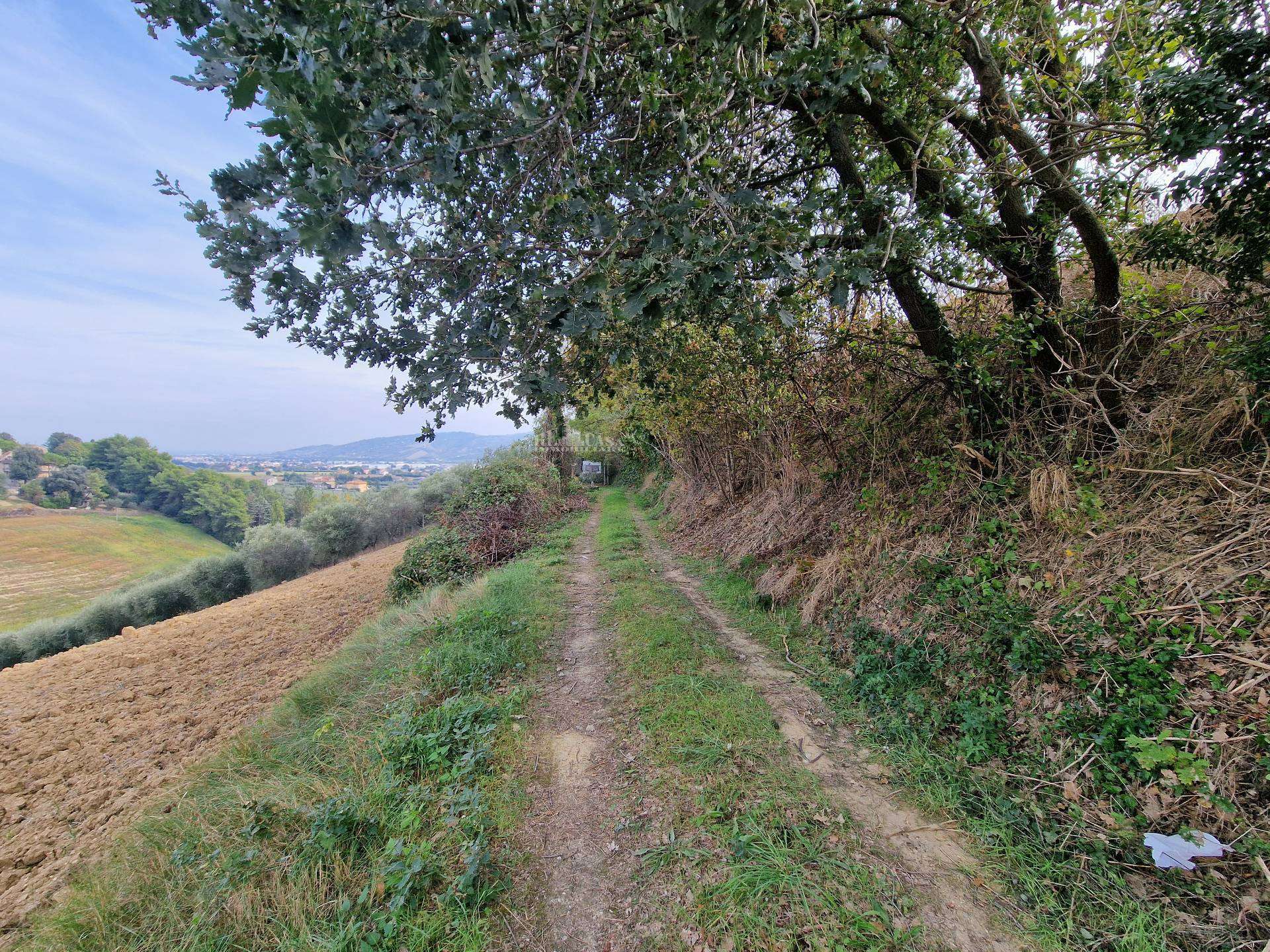 Terreno agricolo, Monsampolo del Tronto