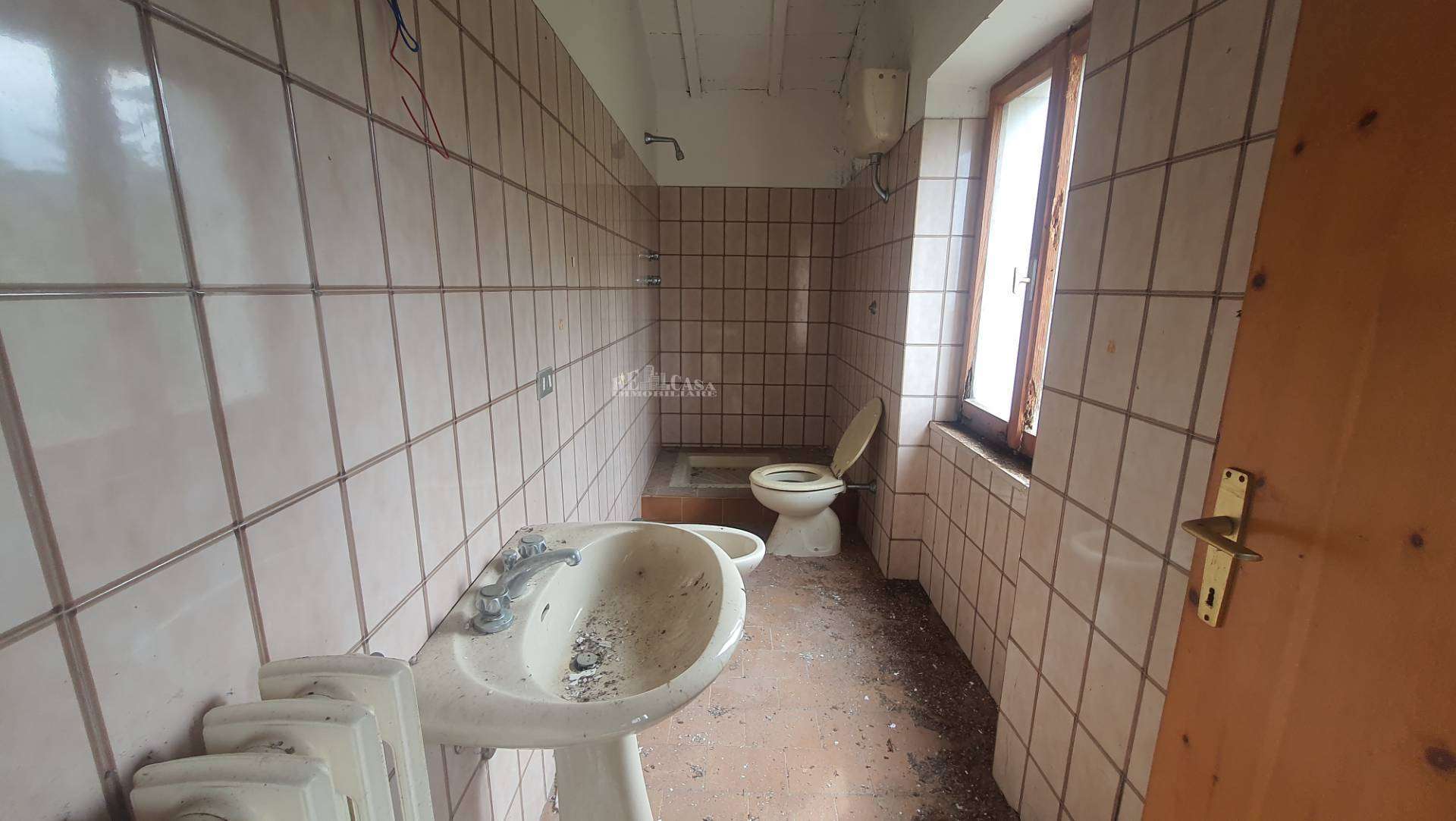  - foto 14