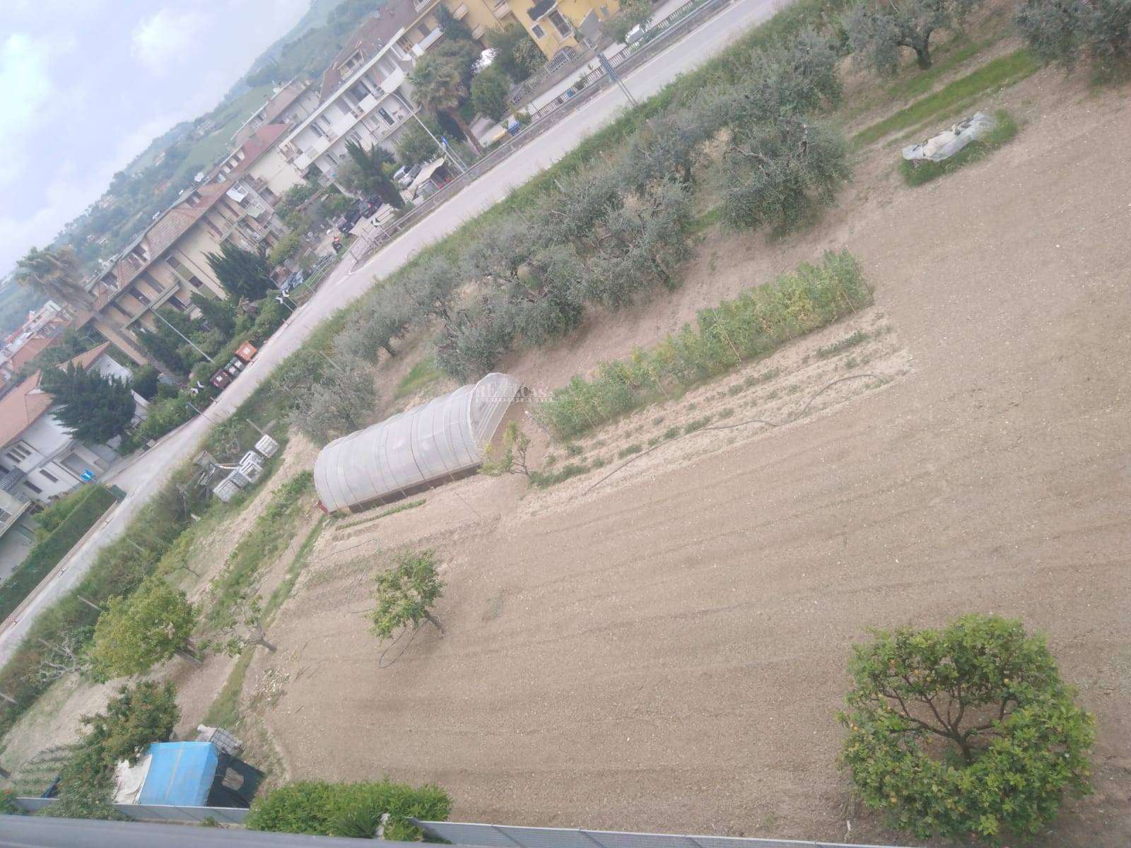  - foto 6
