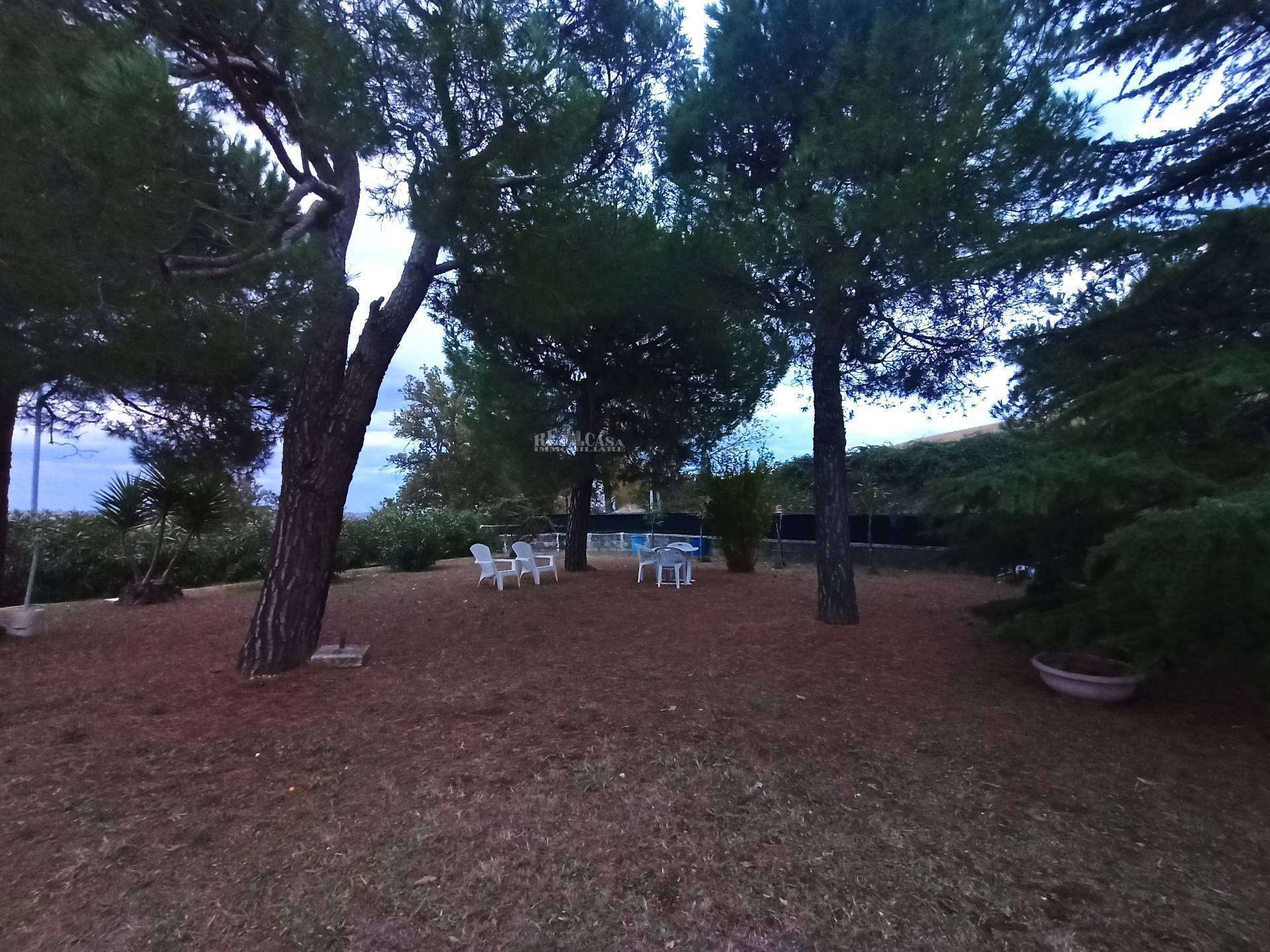  - foto 54