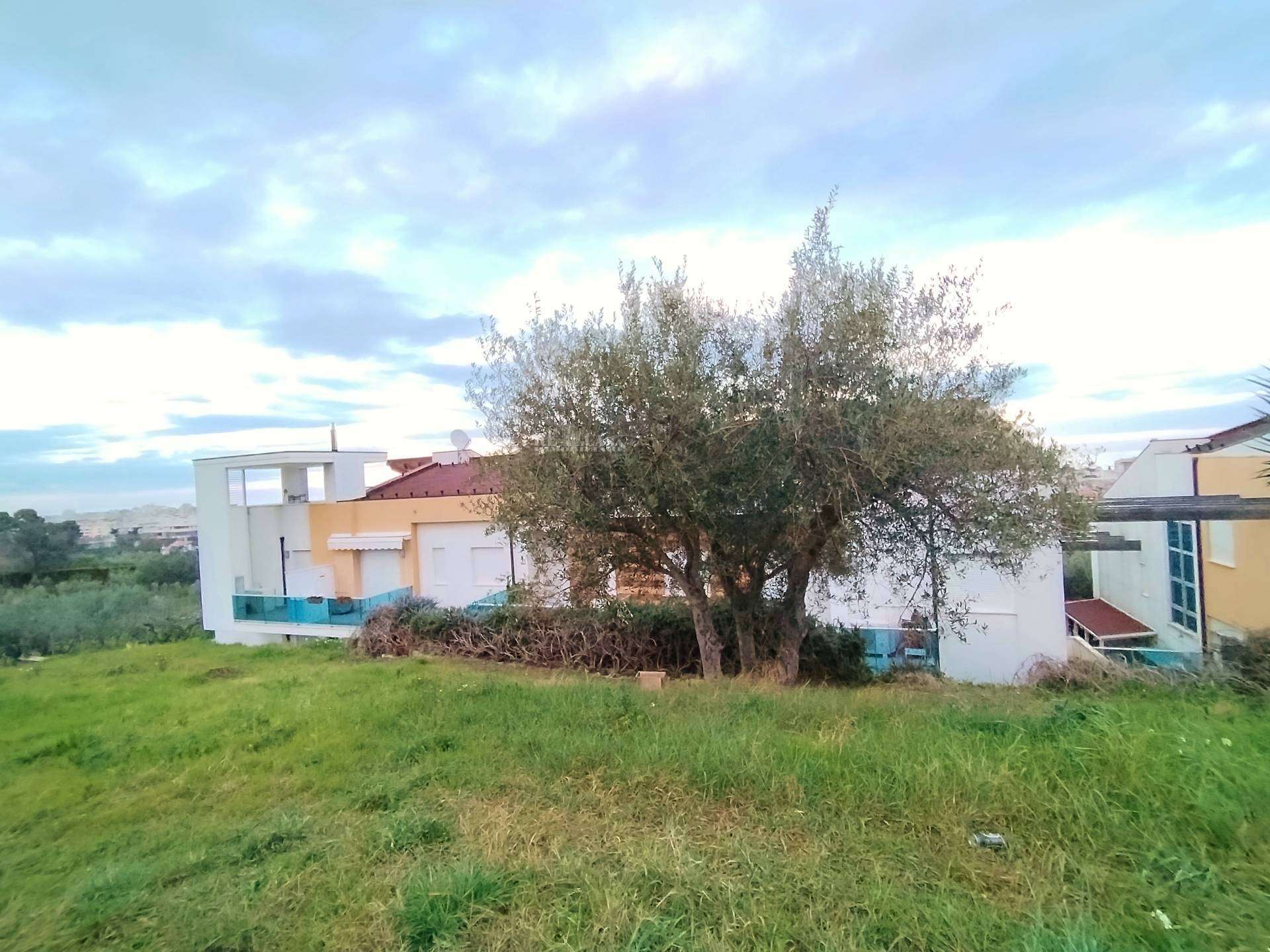  - foto 33