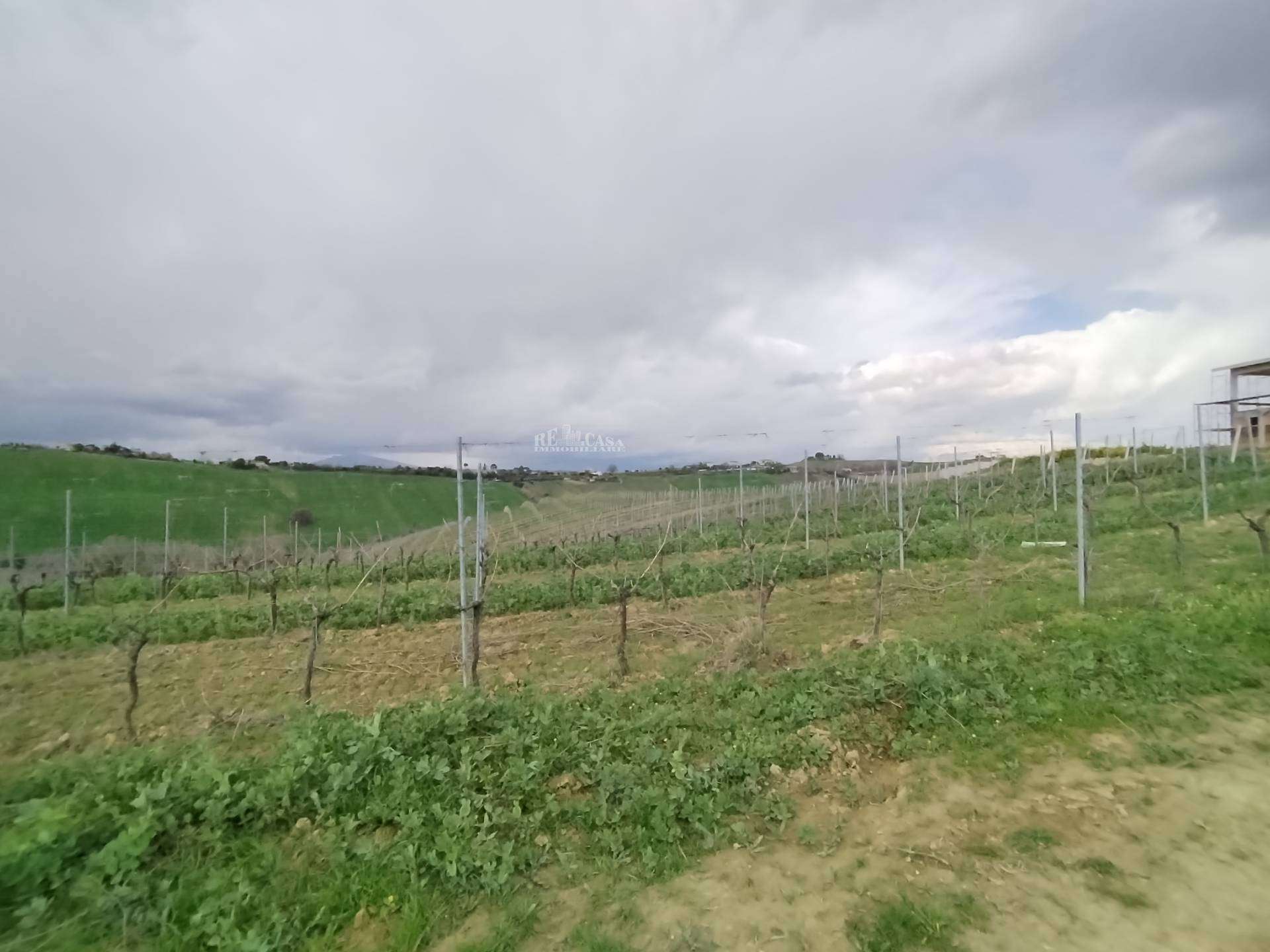 Terreno agricolo VIA COLLE NAVICCHIOsnc, Monteprandone