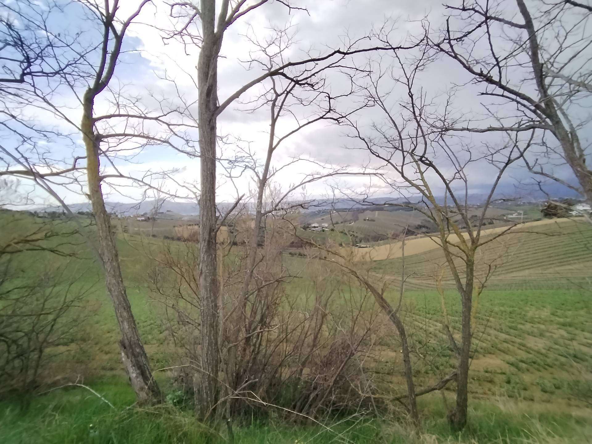  - foto 4