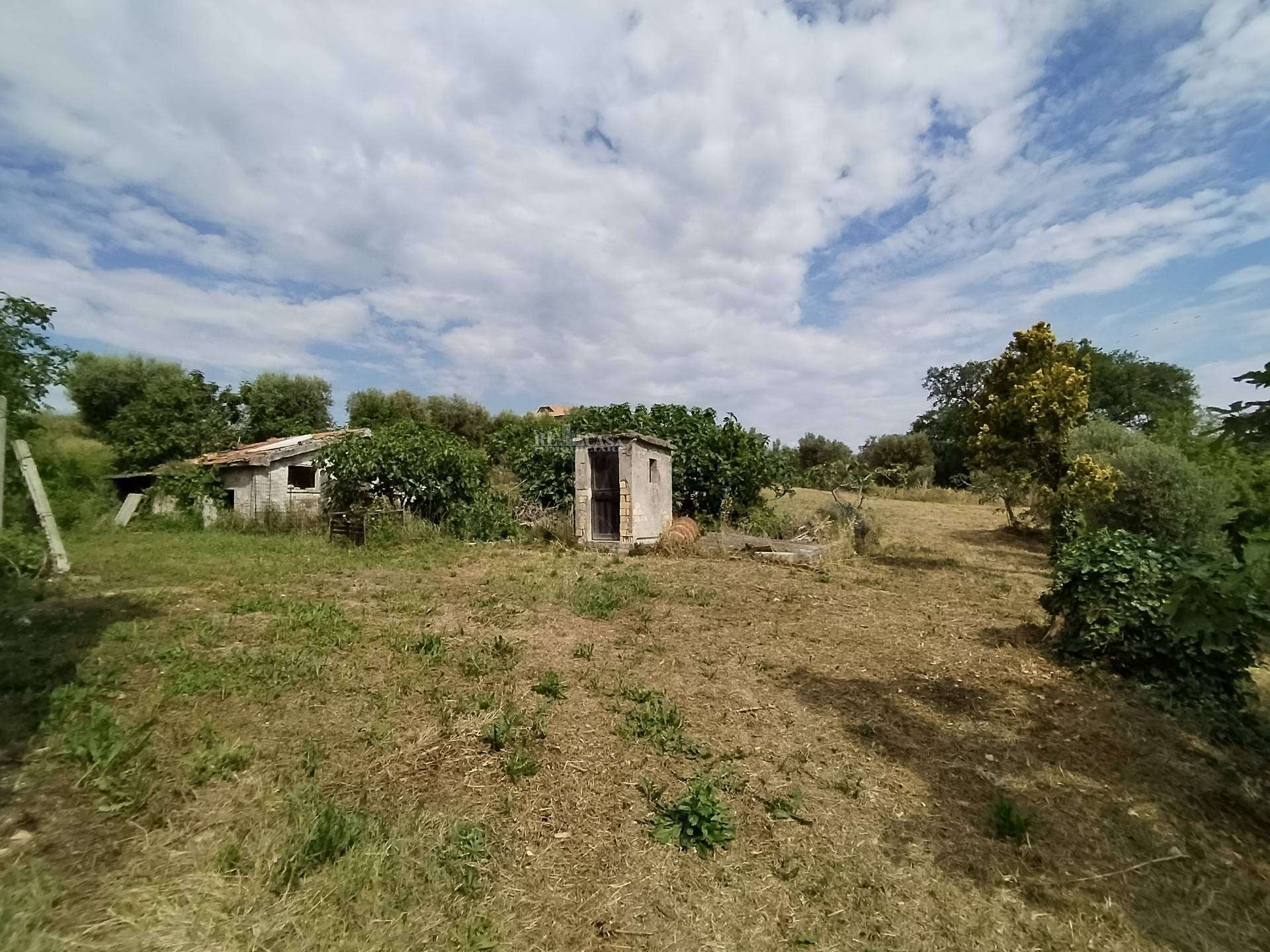  - foto 47