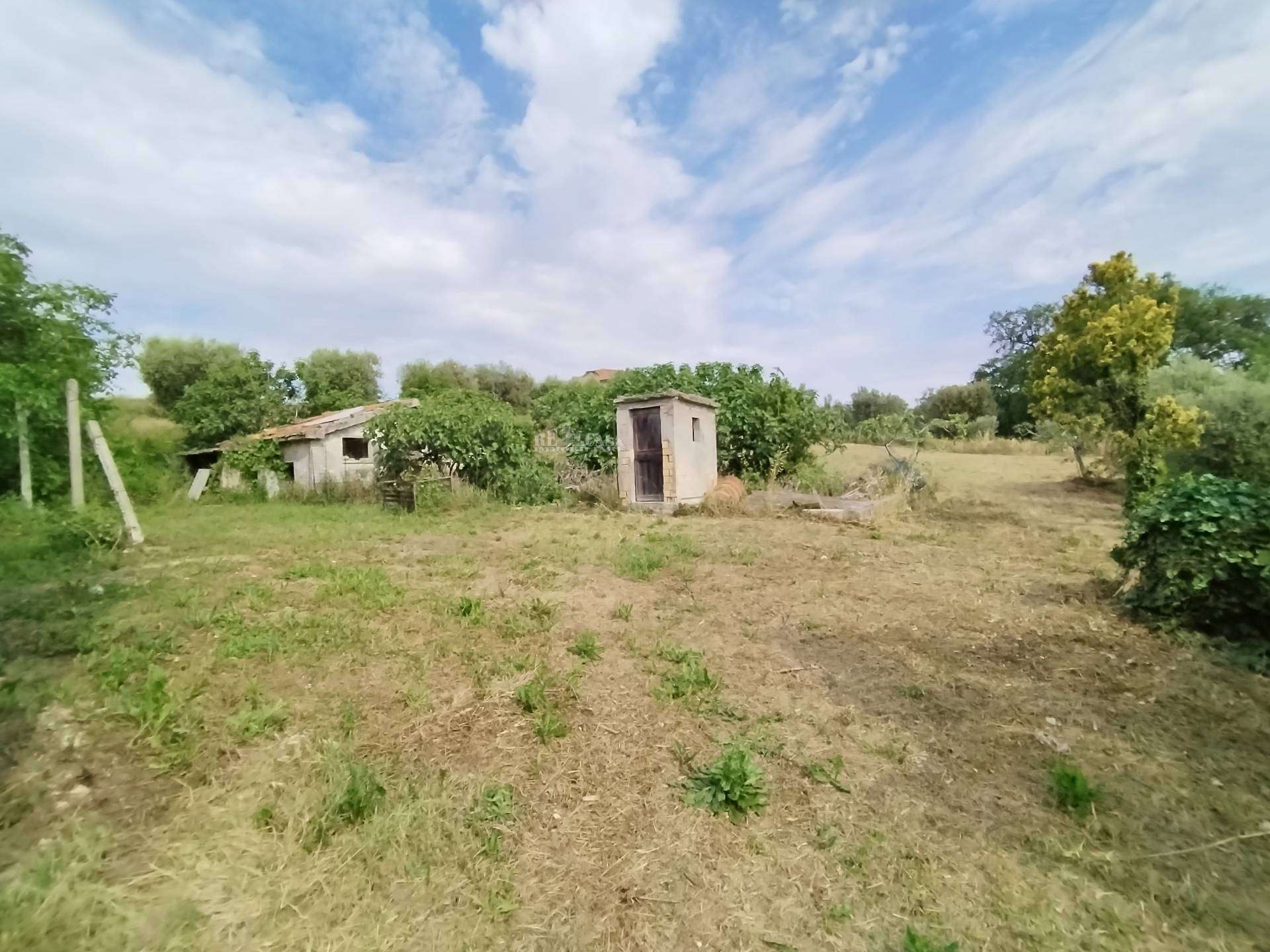  - foto 7