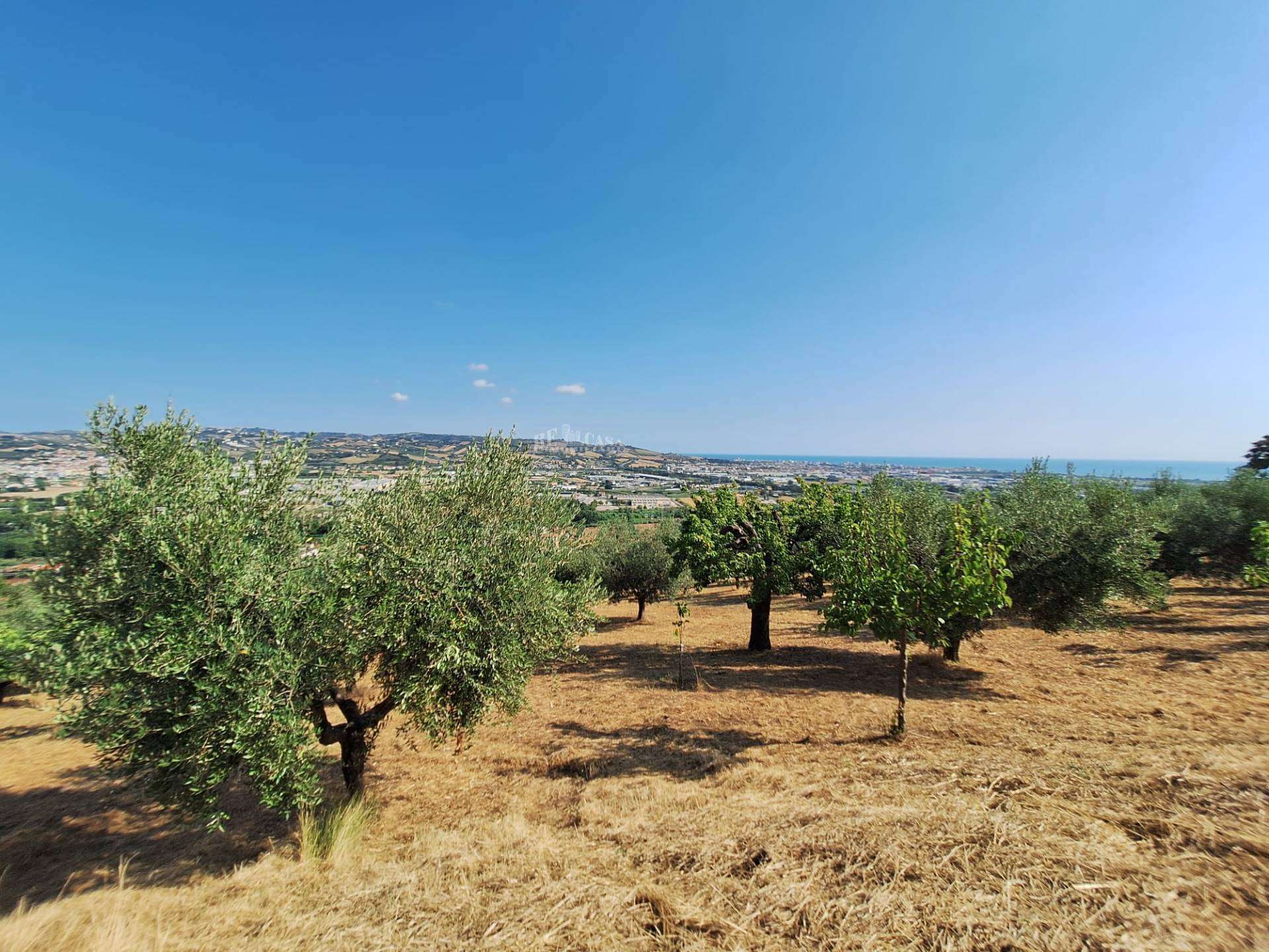 Terreno agricolo contrada san giovanni, Colonnella