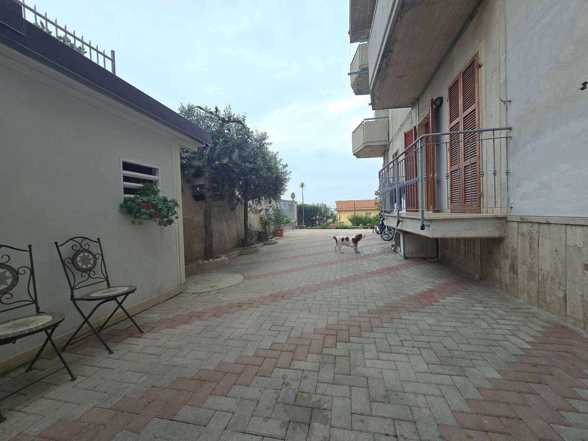  - foto 38