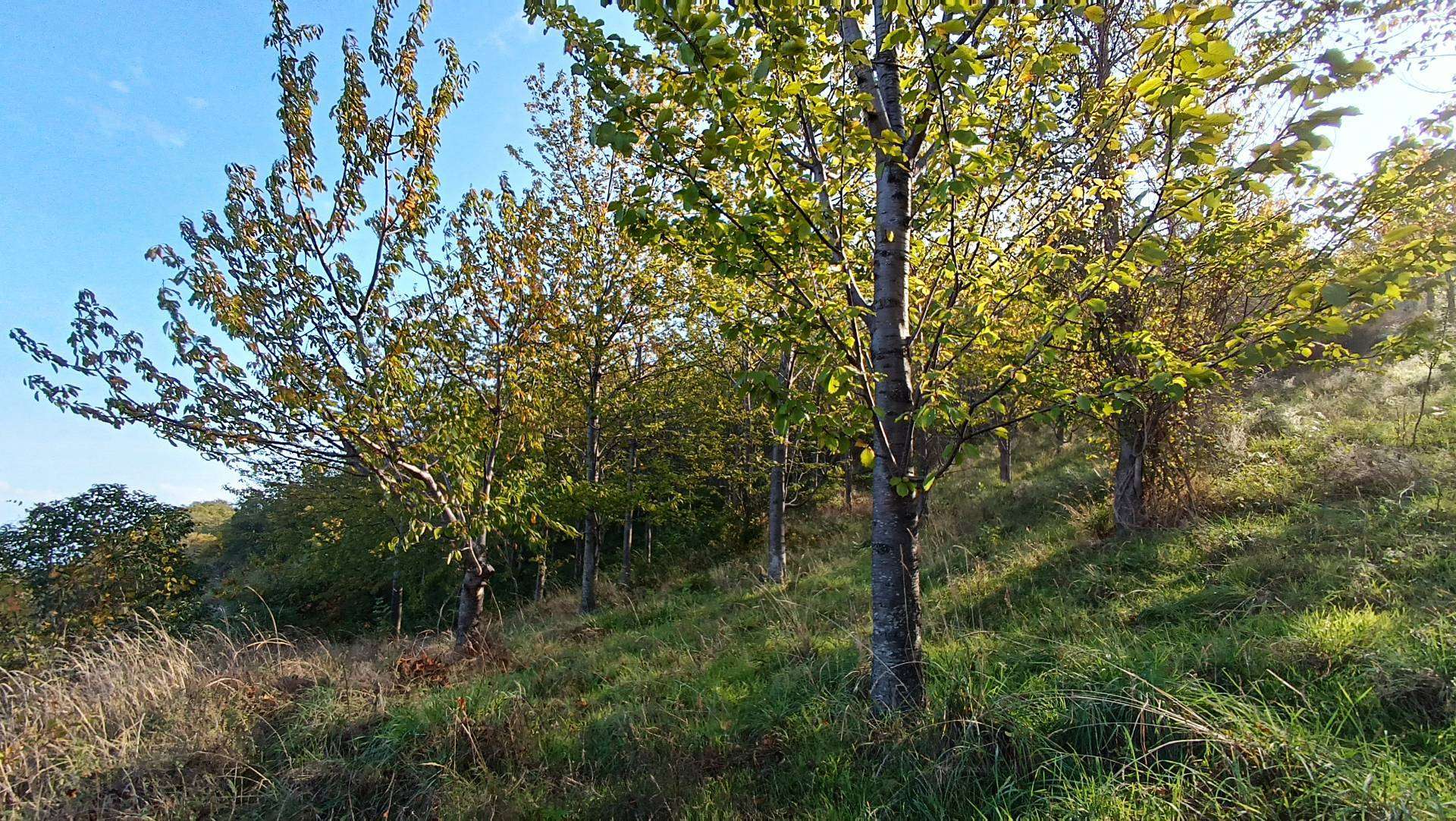  - foto 14