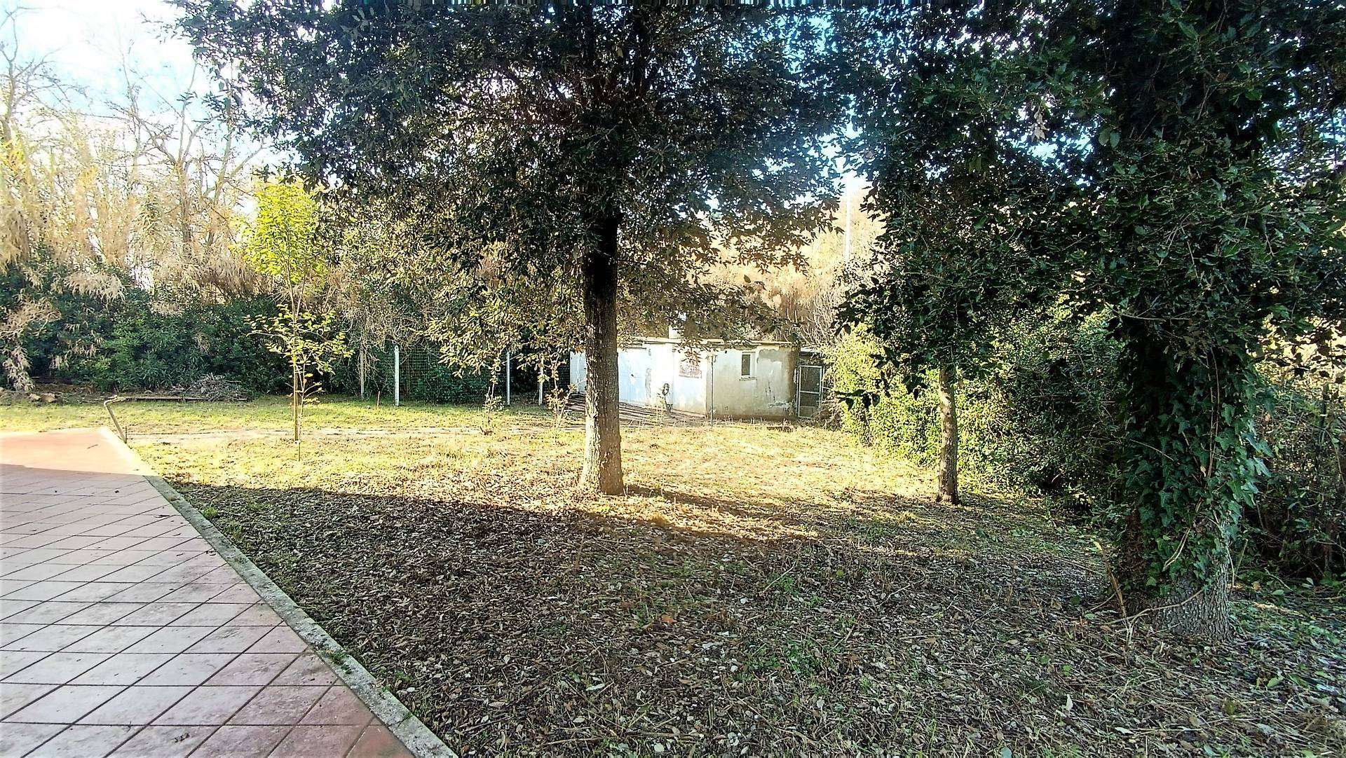  - foto 7
