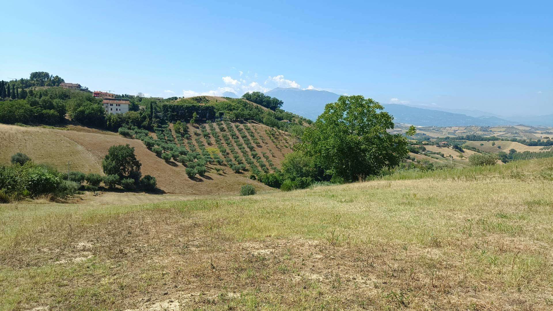 Terreno edificabile strada provinciale 18snc, Castorano