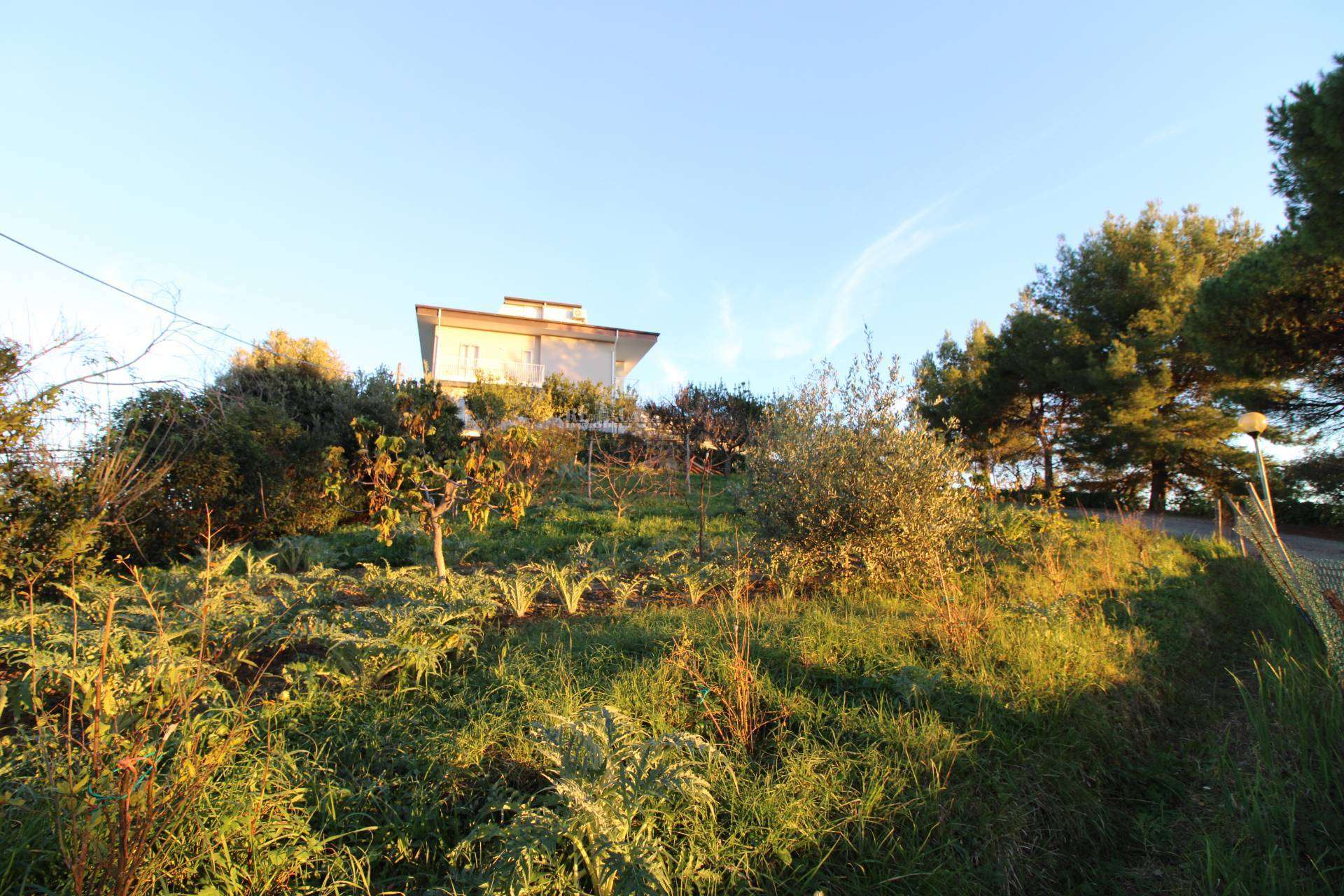  - foto 2