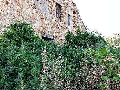  - foto 13