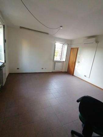  - foto 11