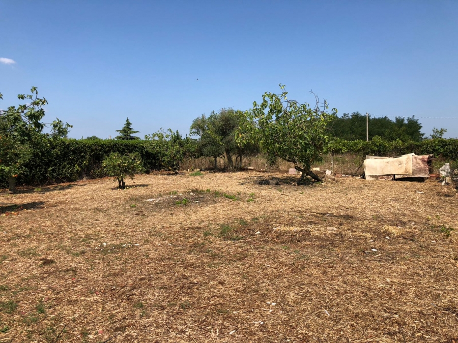 Terreno edificabile Via Tortorella 7  - foto 2