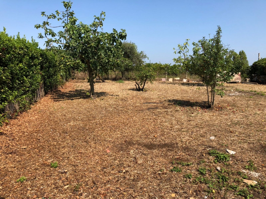 Terreno edificabile Via Tortorella 7  - foto 4