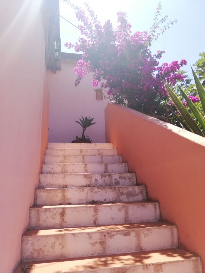 Villa Via Madama  - foto 20