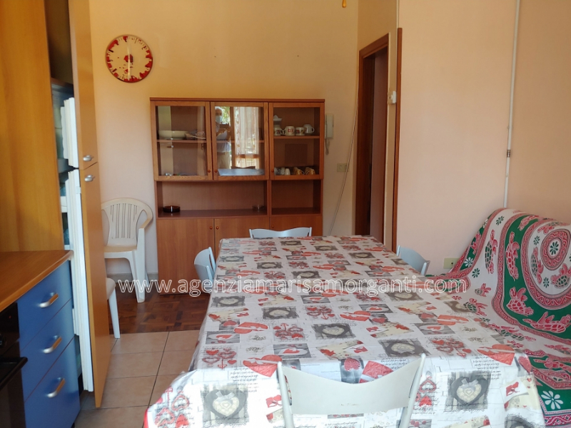 Appartamento viale  - foto 3