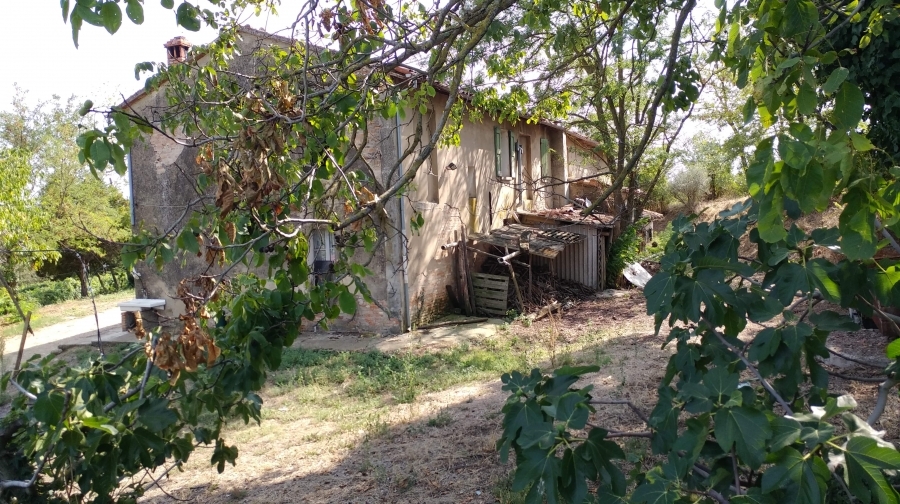 Rustico Ossano  - foto 3