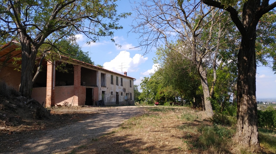 Rustico Ossano  - foto 4