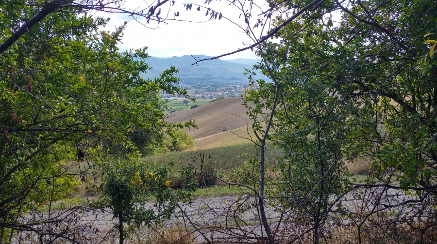 Rustico Ossano  - foto 6