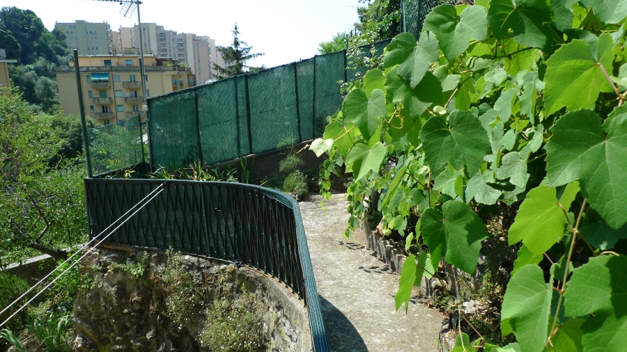 Appartamento VIA DEI BEDINOTTI  - foto 10