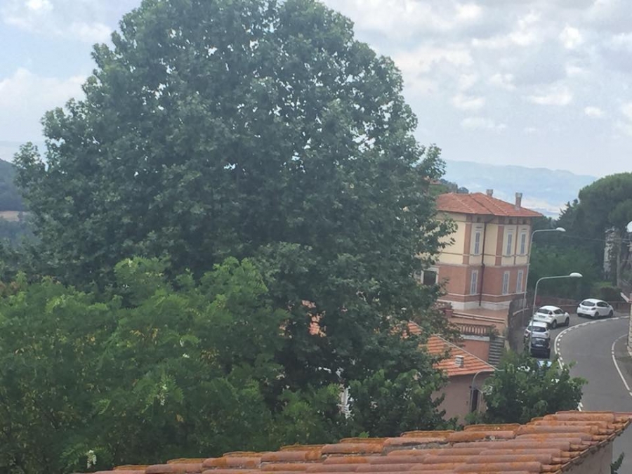 Appartamento Via del Mattatoio  - foto 10