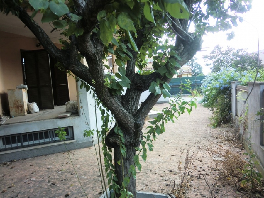 Villa viale Luisiana  - foto 8
