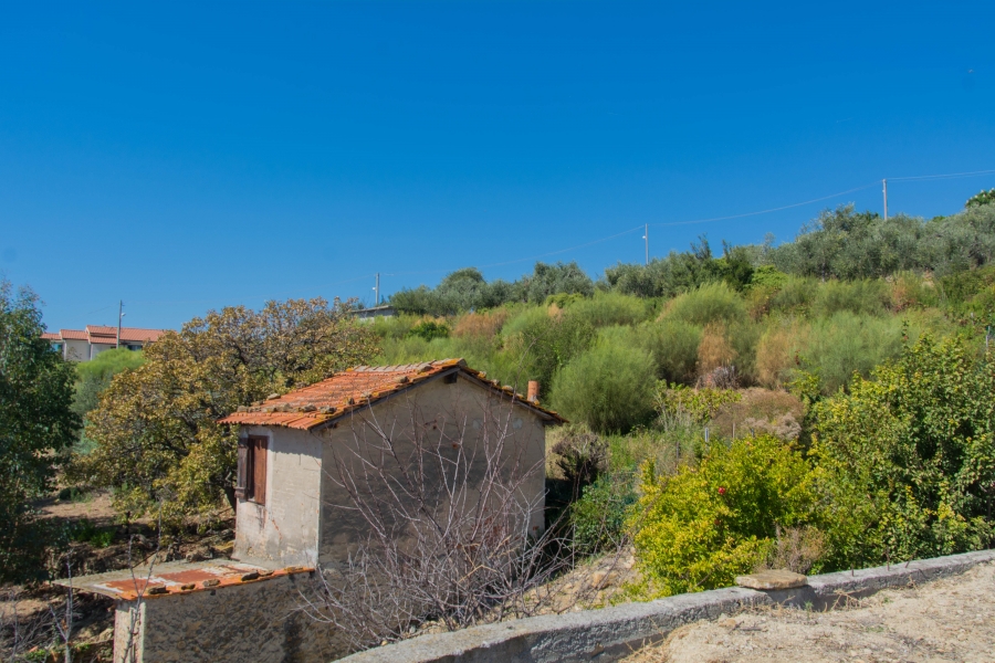Casale  - foto 2