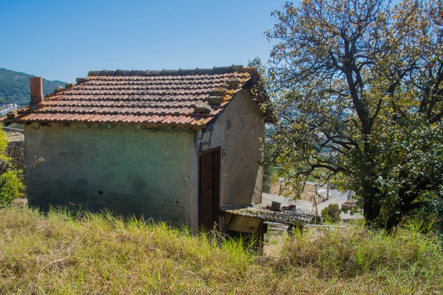 Casale  - foto 3