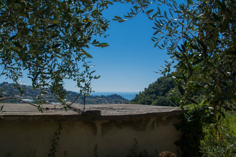 Casale  - foto 5