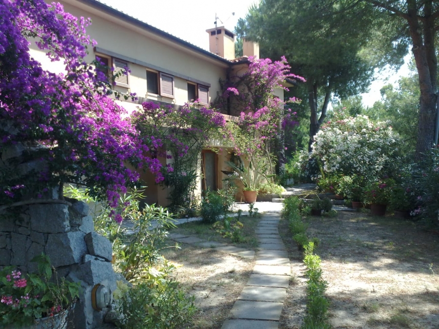 Villa  - foto 11