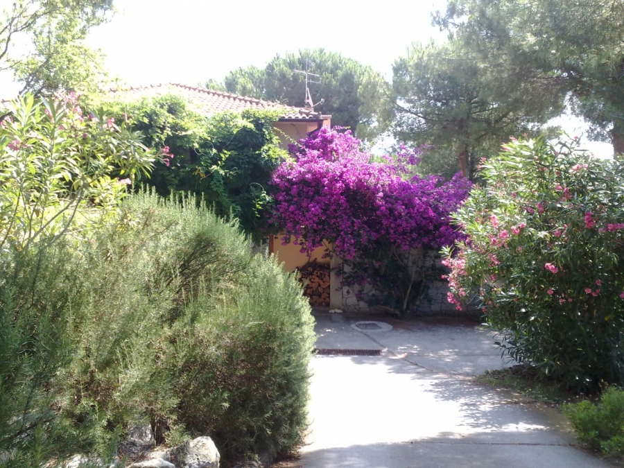 Villa  - foto 8