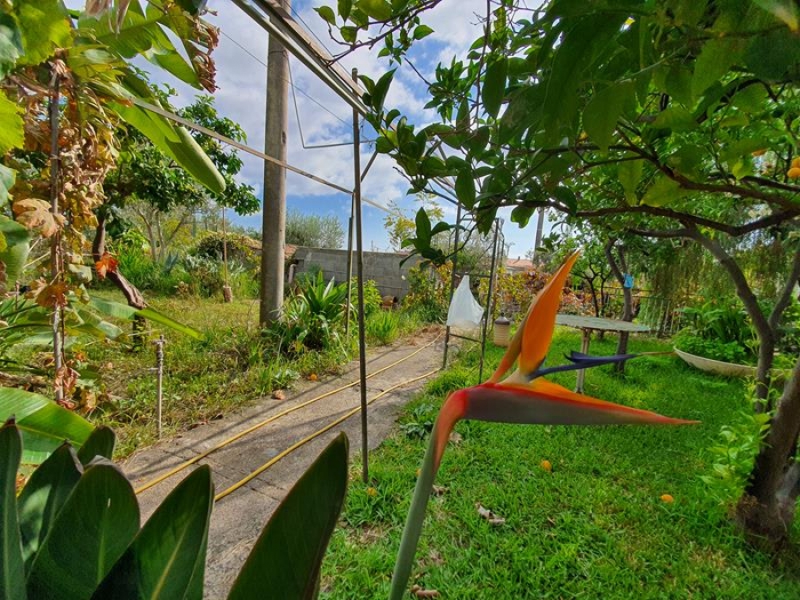 Terreno agricolo Via Acque Munzone  - foto 17
